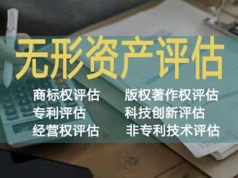 西安無形資產(chǎn)價值評估與相關(guān)服務(wù)解析